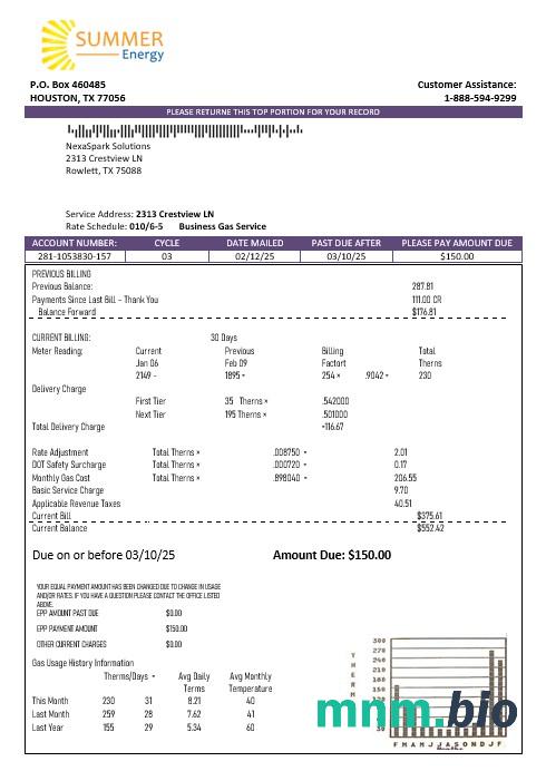 USA Texas Summer Energy łatwy do wypełnienia szablon rachunku za media Biznesowe w formatach Word i PDF